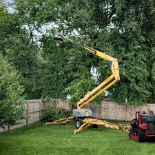 Best Stump Grinding and Removal  in Raymond, IL